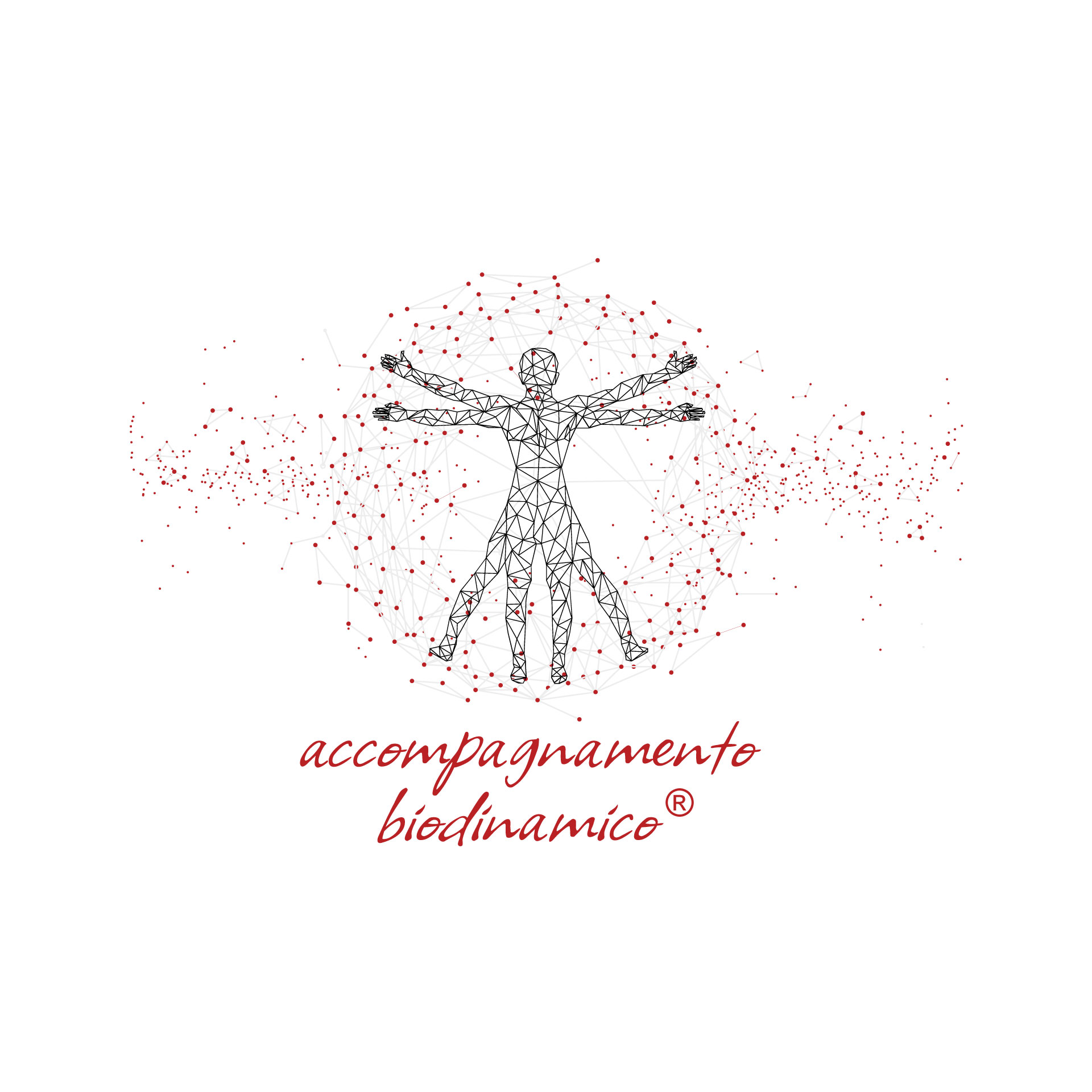 logo Accompagnamento Biodinamico